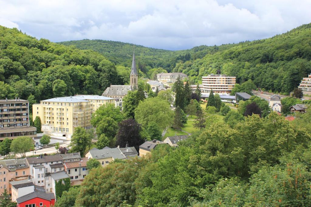 Hotel Ricarda Schlangenbad Buitenkant foto