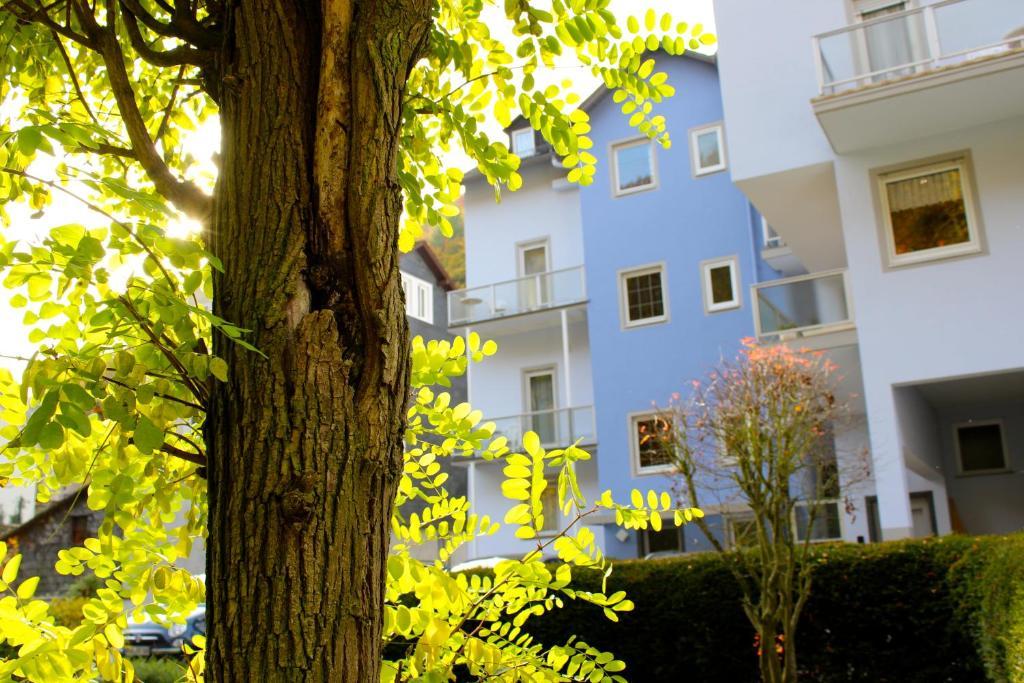 Hotel Ricarda Schlangenbad Buitenkant foto